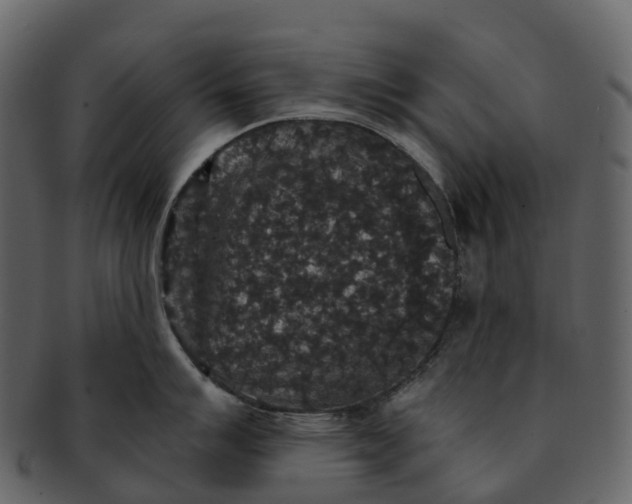 X0000092321007200710051253