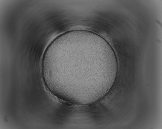 X0000092321008200710051253