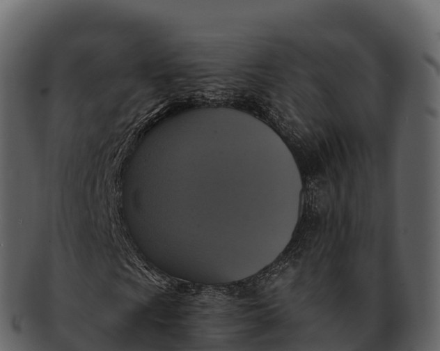 X0000092321009200710051252