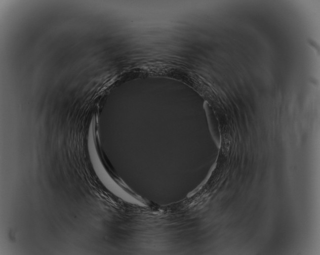 X0000092321010200710051252