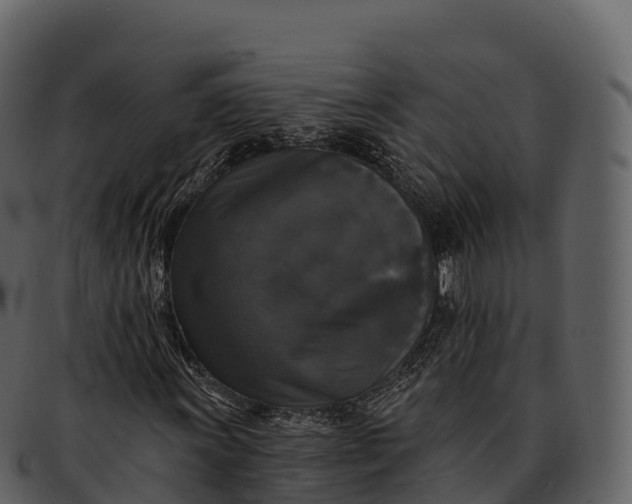 X0000092321011200710051252