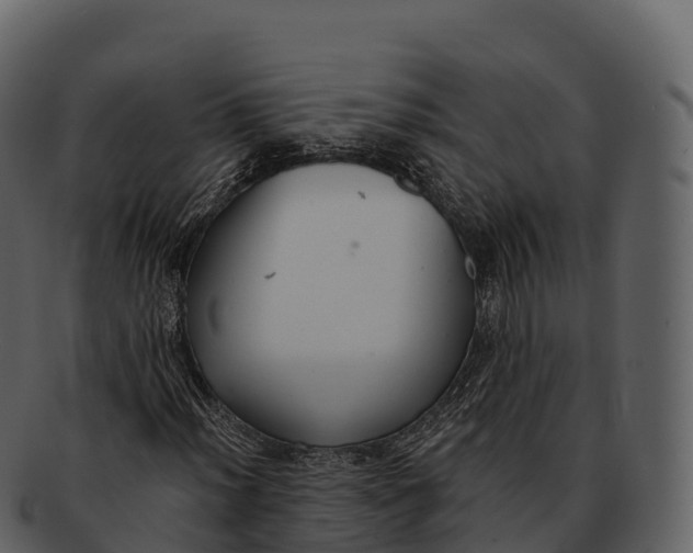 X0000092321012200710051252