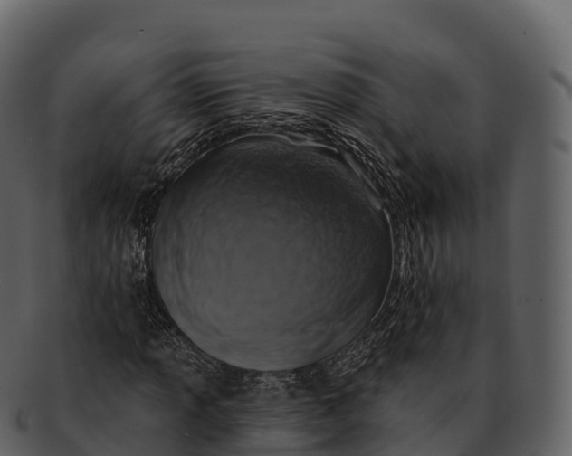 X0000092321013200710051252