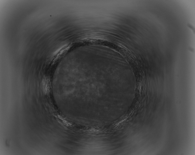 X0000092321014200710051253
