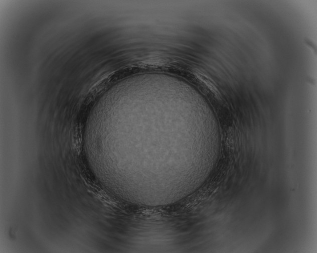 X0000092321015200710051253