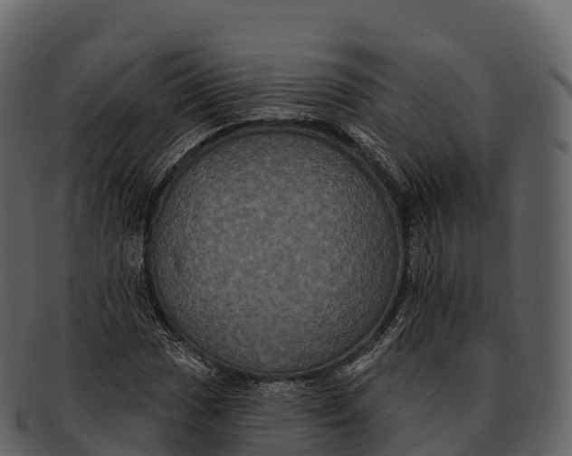 X0000092321017200710051253