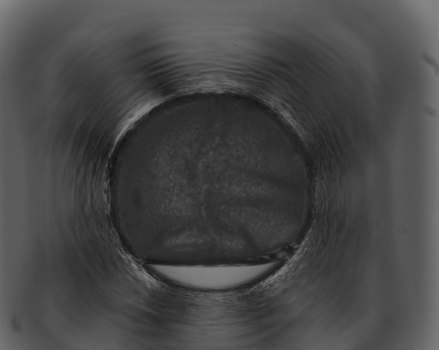X0000092321018200710051253