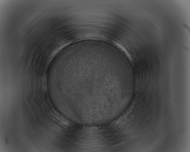 X0000092321019200710051253