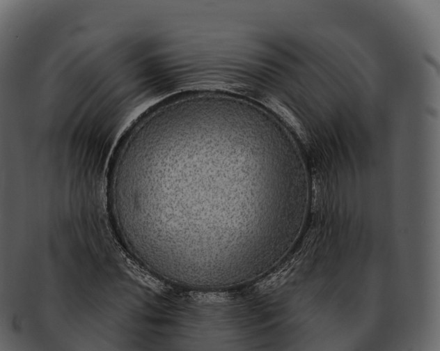 X0000092321020200710051253