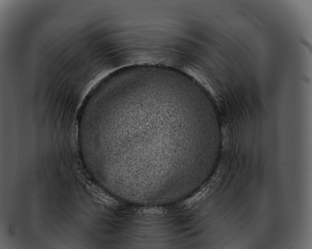 X0000092321021200710051253