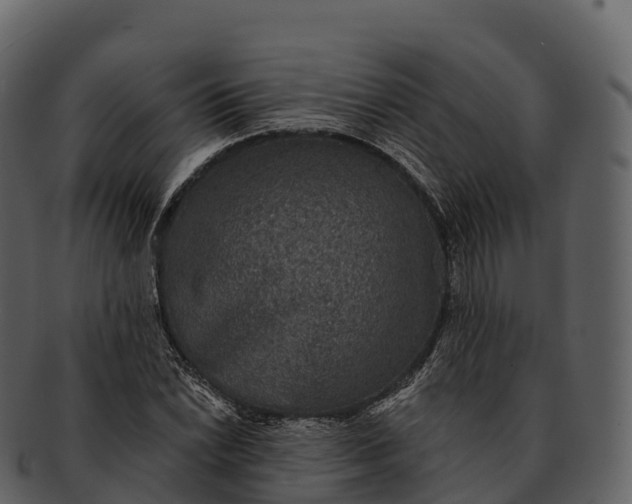 X0000092321022200710051253