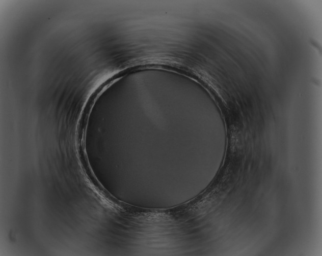 X0000092321024200710051253