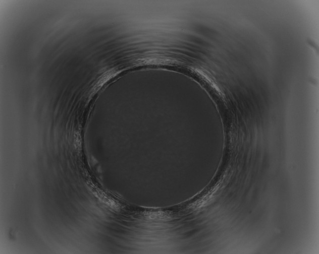 X0000092321025200710051253
