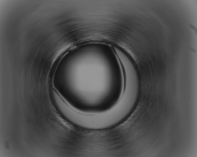 X0000092321026200710051253