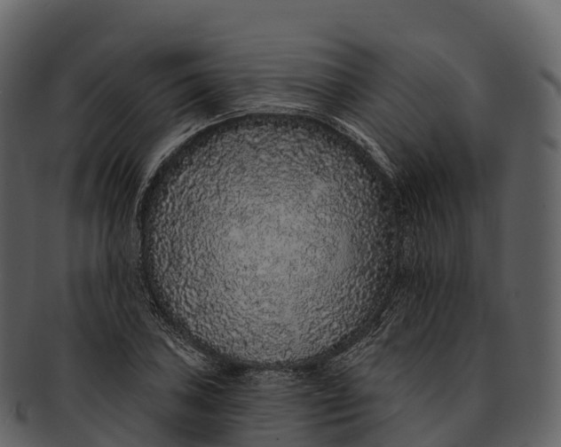 X0000092321027200710051253