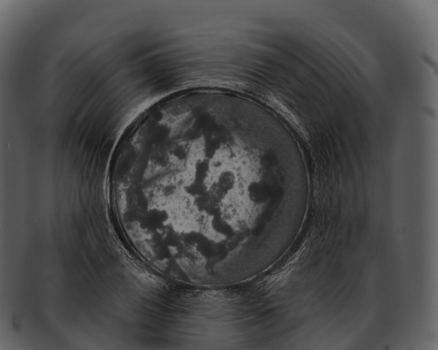 X0000092321028200710051253