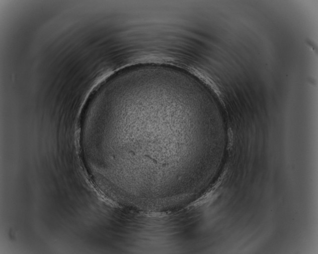 X0000092321029200710051253