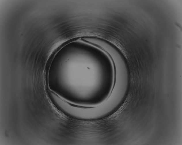 X0000092321030200710051253