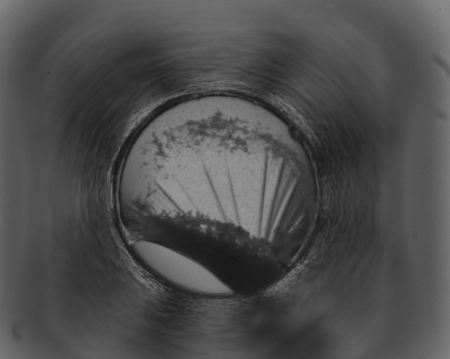 X0000092321031200710051253