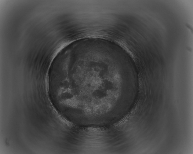 X0000092321032200710051253