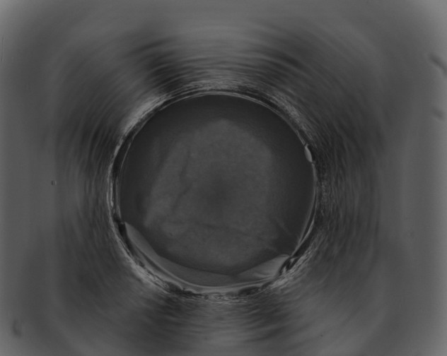 X0000092321034200710051253