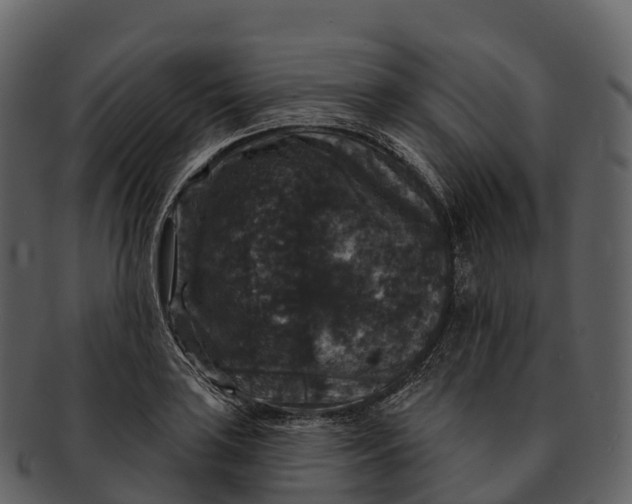 X0000092321035200710051253