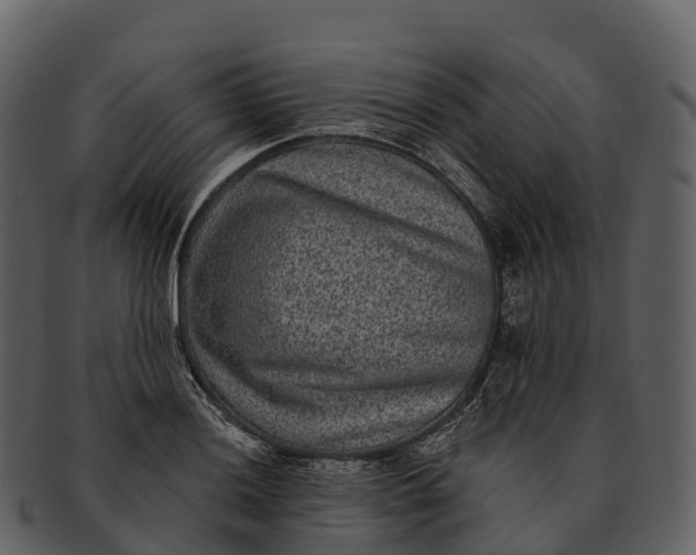 X0000092321036200710051253