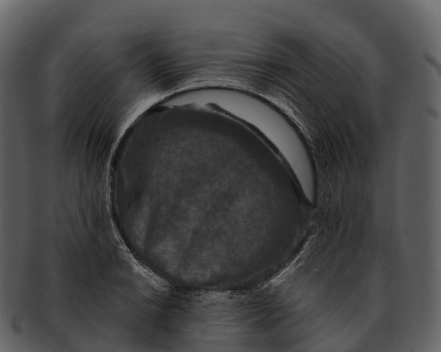 X0000092321038200710051253