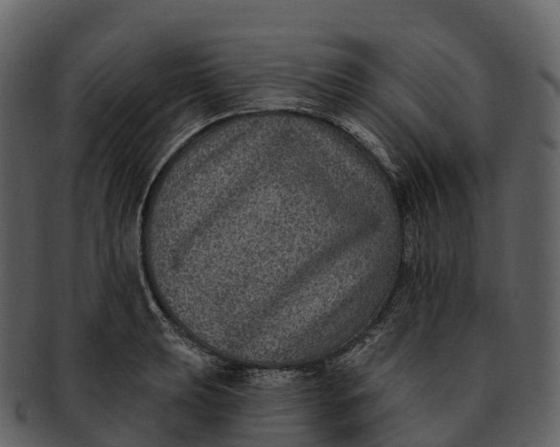 X0000092321039200710051253