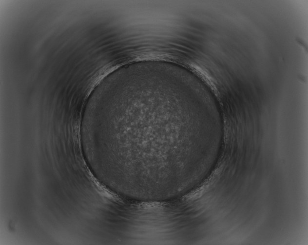 X0000092321041200710051253