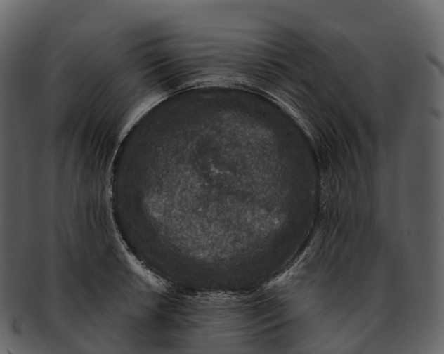 X0000092321042200710051253