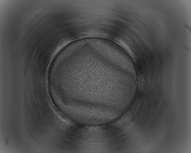 X0000092321043200710051253
