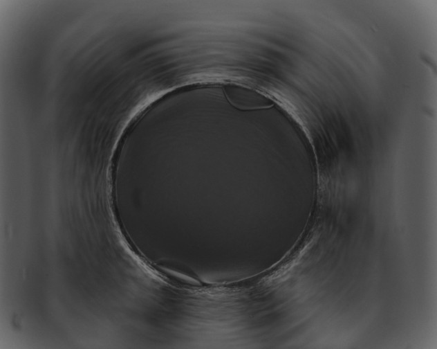 X0000092321045200710051253