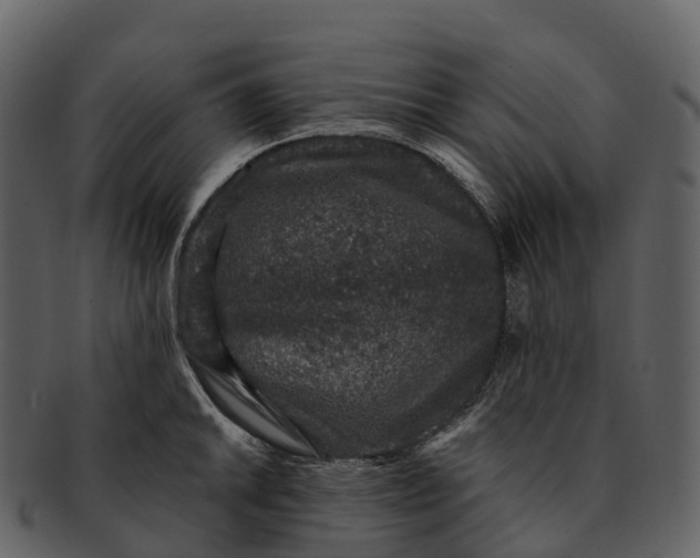 X0000092321046200710051253