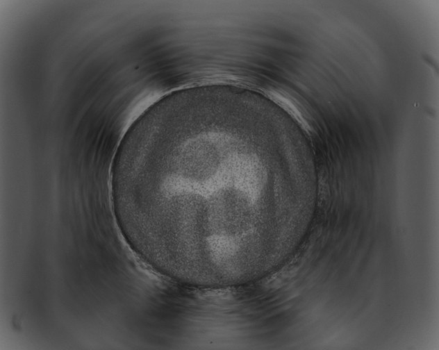 X0000092321047200710051253