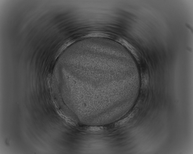 X0000092321049200710051253