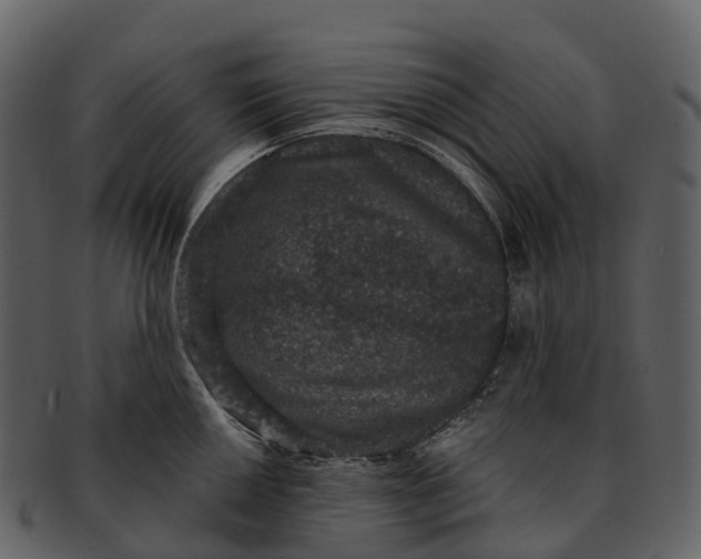 X0000092321050200710051253