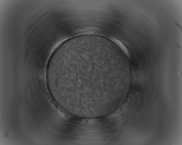 X0000092321051200710051253