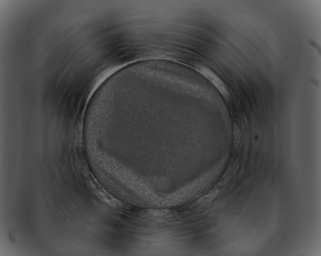 X0000092321052200710051253