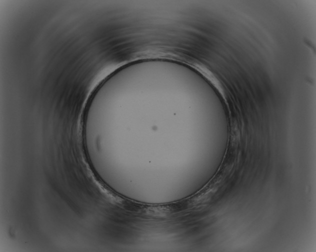 X0000092321053200710051253