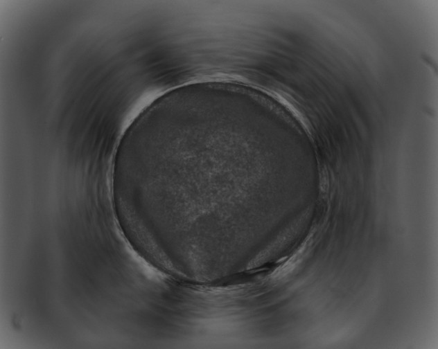 X0000092321054200710051253