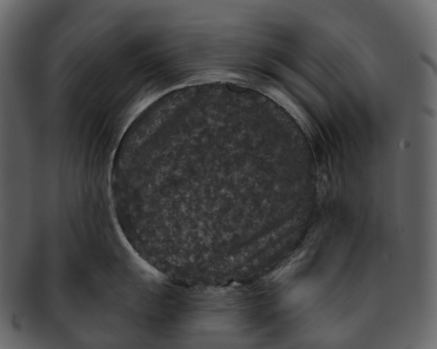 X0000092321055200710051253