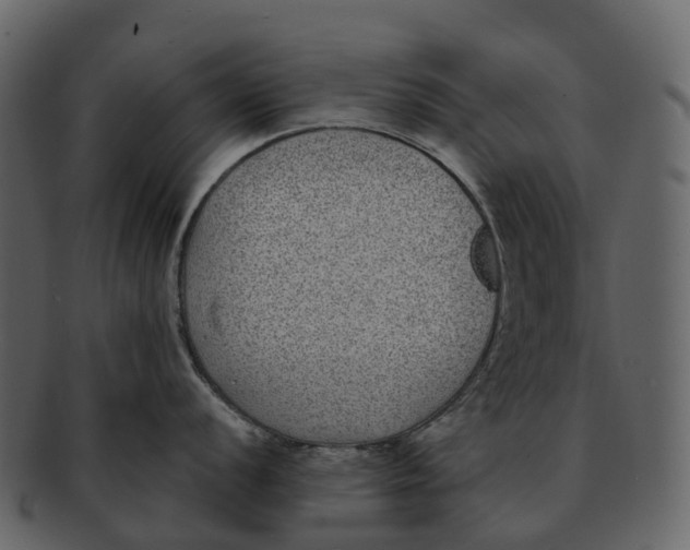 X0000092321056200710051253