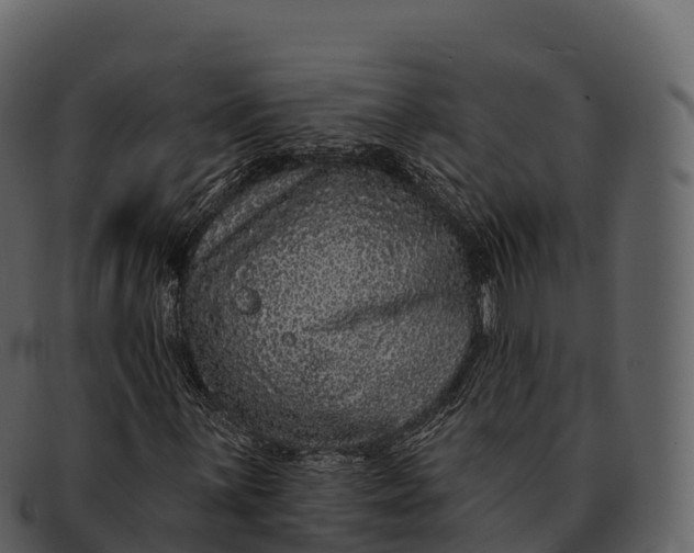 X0000092321059200710051252