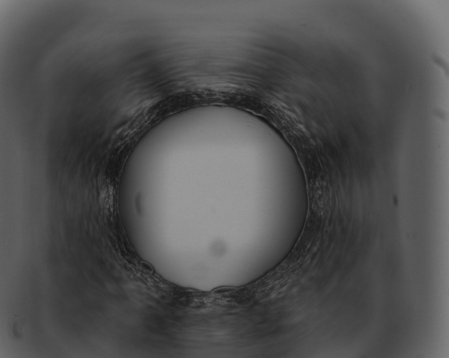 X0000092321061200710051252