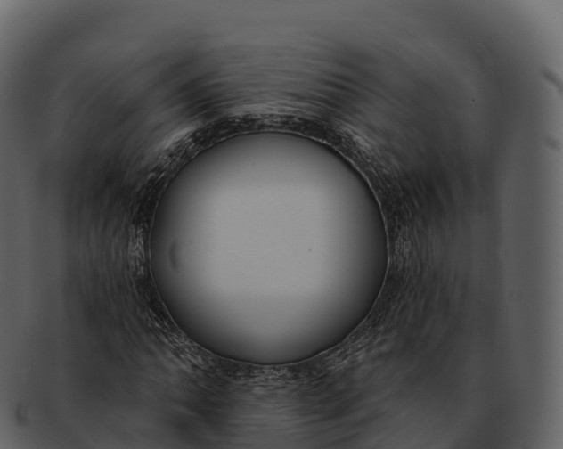 X0000092321062200710051252