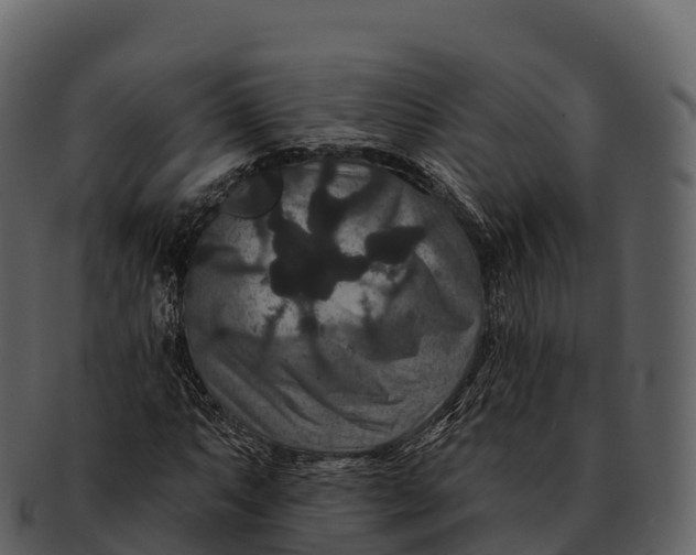 X0000092321063200710051252