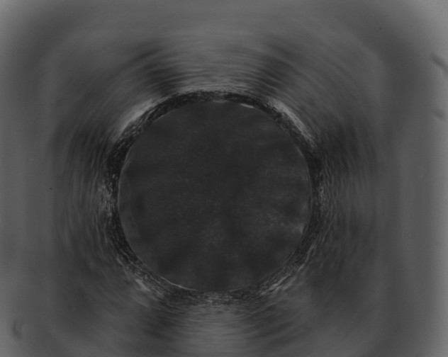 X0000092321064200710051252
