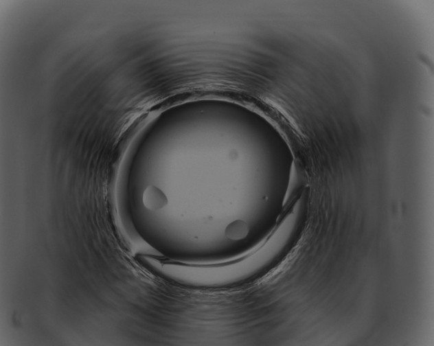 X0000092321065200710051252