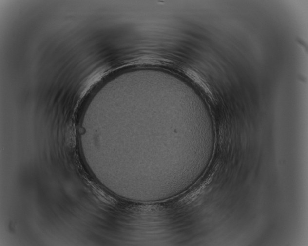 X0000092321067200710051252